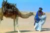 Ishtar Photo - Infamous Camel Pull